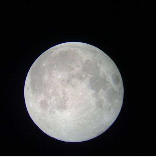 naseermnseror's profile picture. 