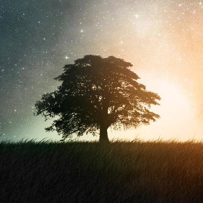 WeeWingKuen's profile picture. 