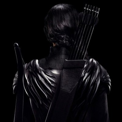 GirlOnBlueFire's profile picture. TheHungerGames,The Walking Dead, The Fault In Our Stars, Divergent,Teen Wolf, Once Upon A Time, Revolution. I ❤ Daryl Dixon.