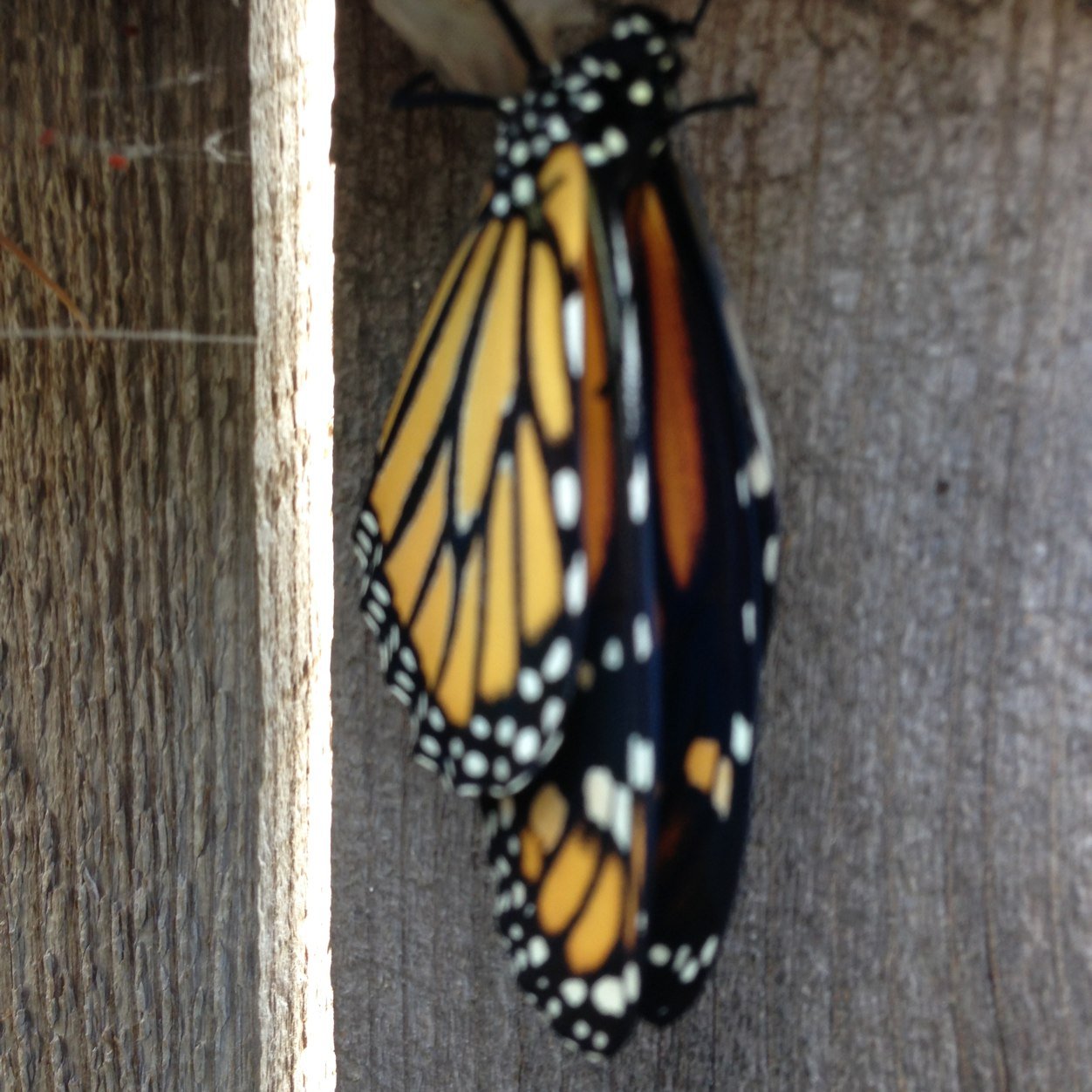 aporter716's profile picture. 