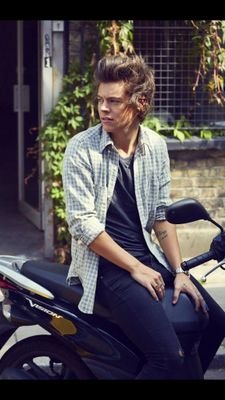 follow @felixftharry back please luv u ♡♡