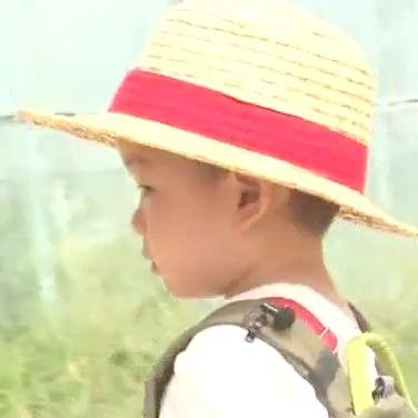 timebox01's profile picture. 