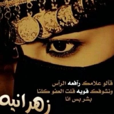 nofh2525's profile picture. 