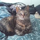 Donna Fifield - @DonnaFifield - Twitter