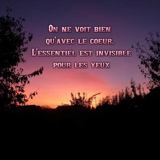FRANCE celle née du Baptême de Clovis et non celle enracinée dans le sang qu'a fait verser la Révolution des anti-Christ. SOUVERAINISTE non sioniste.