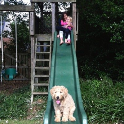 lunaterp's profile picture. Dad, husband and attorney.