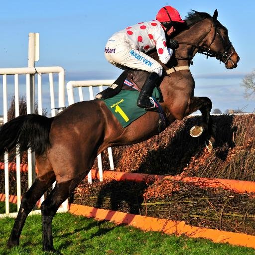 HorseRacingTime's profile picture. True Horse Racing Enthusiast, with thoughts on all things racing.