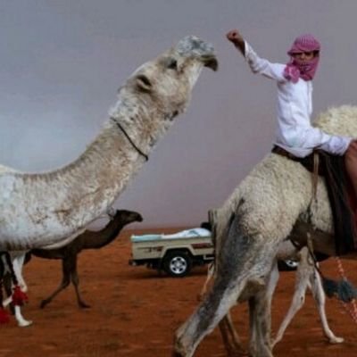 Saad502Ss85's profile picture. 