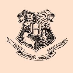 Bienvenidos a Hogwarts, colegio de Magia y Hechicería. ¿En quién puedes confiar cuando tu mundo está a punto de sumirse en una caótica guerra? Terminación: _AIE