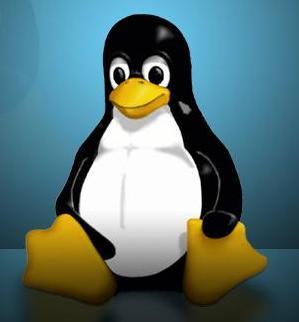 skytimecn's profile picture. 