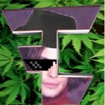 dank_pro_memer's profile picture. youtube dank_pro_memer | No reddit | No steam | mememenenneen