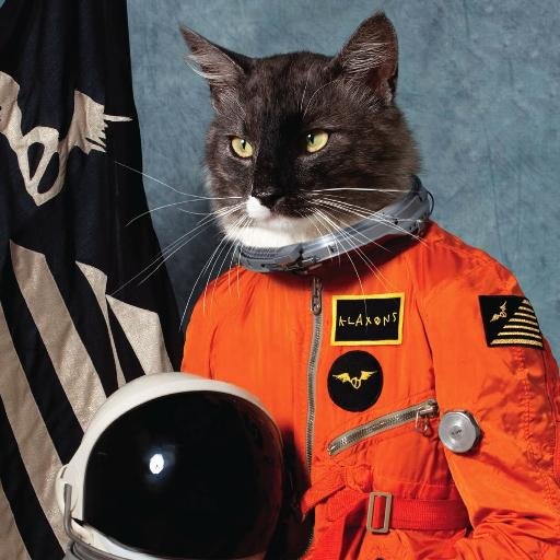 w3stracer's profile picture. readonly