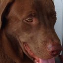 Lane Bell - @lanebell10 - Twitter