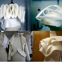 Fashion Designer