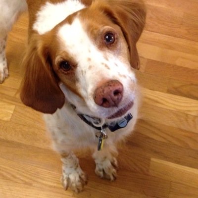 kathymill4072's profile picture. 