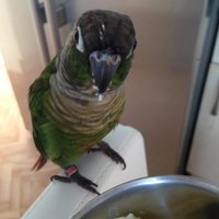 jenniferdiane (@jenniferdiane8) 's Twitter Profile