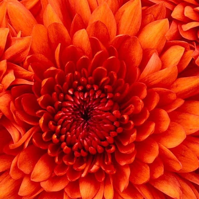 sandyla11's profile picture. 