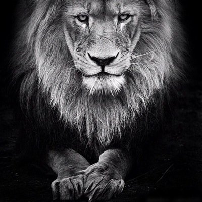 KGrahamJTS's profile picture. 6.3 170lb, IT Support Office, Jamaica Trading Services. Lion of Juda Jesus Christ.