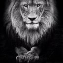 Kareem Graham - @KGrahamJTS - Twitter