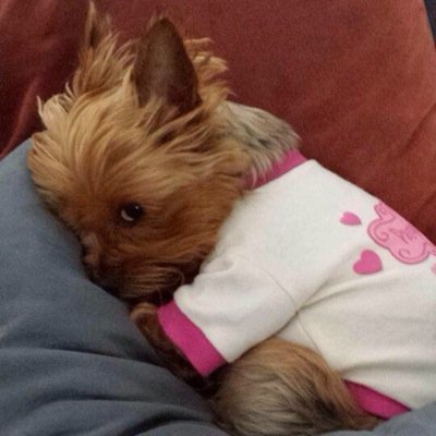 TaniaLin007's profile picture. 