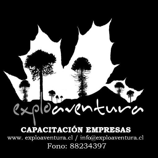 Nos dedicamos a realizar programas de Coaching, Desarrollo personal, Liderazgo, Clima laboral, Trabajo en equipo y desarrollo de competencias para empresas.