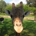 Chris Massa - @cmassa - Twitter