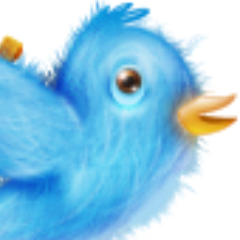 相互フォロー支援用のアカウントです。
①当アカウントをフォロー
②このツイートをRT
③フォローされている方をフォロー
④これだけでフォロワーが増えます。
#兵庫県民