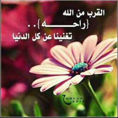 يارب كُن لي حبيباً ، و كن لي قريباً وكن لدعائي مجيباً ، يارب ارض عني رضاً لا أحزﻥ بعده أبداً ..
