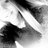xFloortjeK_x's profile image