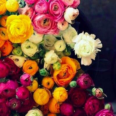 CANLABphoto's profile picture. 