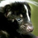 Marcus Griebel - @GriebelMarcus - Twitter