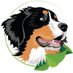 Berner Park (@bernerpark) Twitter profile photo