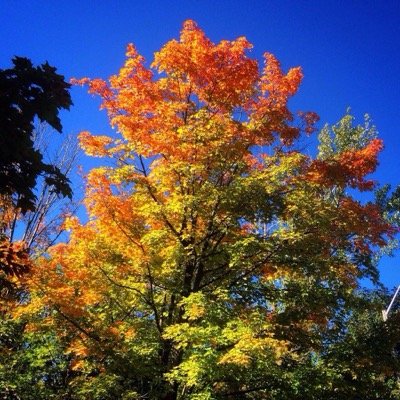 debra_ferris's profile picture. 