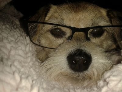 ChrisAmalone's profile picture. 