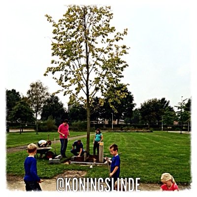 Koningslinde's profile picture. Sinds 30 april 2013 ben ik officieel inwoner Heerlijckheijd Nispen. Oostmoer; op n prachtig veld met n mooie houten bank. Kom langs en twitter @koningslinde