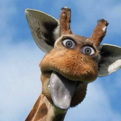 Sachiko_the1's profile picture. Display Advertising, Performance Marketing, Online Marketing