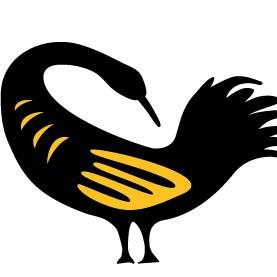 Interesting content on Ghana's history, culture & more.Ideal for the younger generation who want to stay connected with Ghanaians across the globe.#TeamGhana