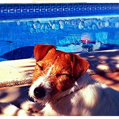 6Sampol's profile picture. 