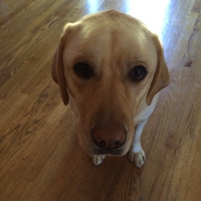 mikebcarney's profile picture. 