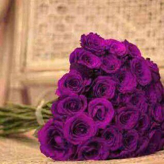 لاإله إلا الله ♡