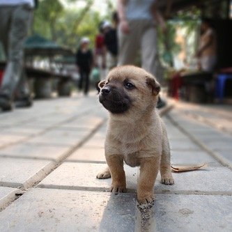 an account full of cuteness