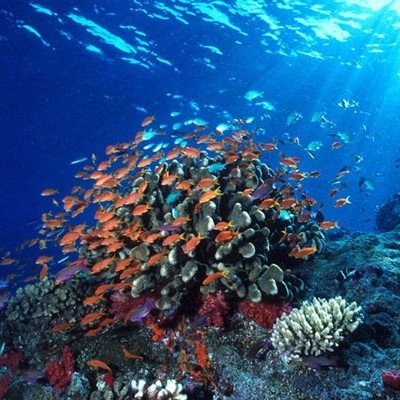 Dwvershopp's profile picture. Hehe