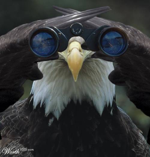 AngusMcCrum's profile picture. 