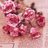 Seham_Almutairy's profile image