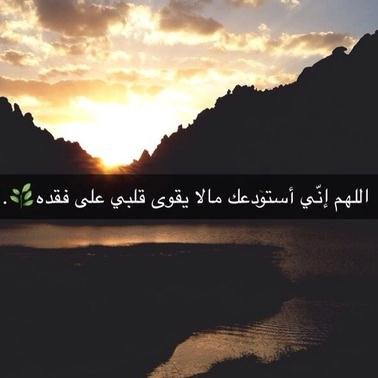دامك وصلت سو فولو ورتويت وانفض لك
