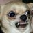 chocorrol1585's profile image