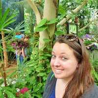Sarah Womer (@yssarahwomer) 's Twitter Profile