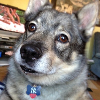 zedg72's profile picture. 