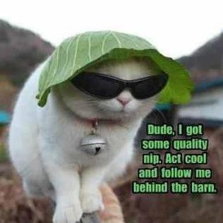 NytesXtasy's profile picture. Proud Parent, Role-Player, Disabled,  Gamer, Aspiring Archaeologist, Ancient Alien believer and student of History