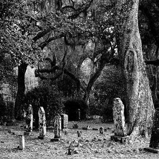 There are many different supernatural beings living in and around Camden, Maine amongst the human race, but no one knows what they are. #RPG DM if interested!